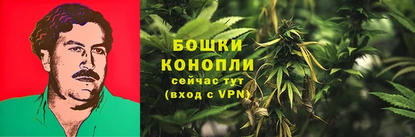 прущие грибы Балахна