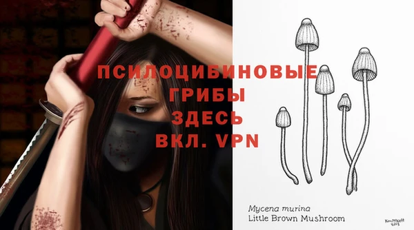 бошки Баксан