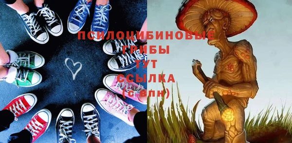 прущие грибы Балахна