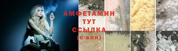 прущие грибы Балахна