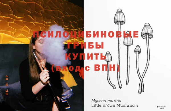 бошки Баксан
