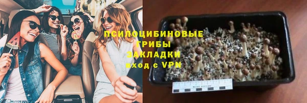 прущие грибы Балахна
